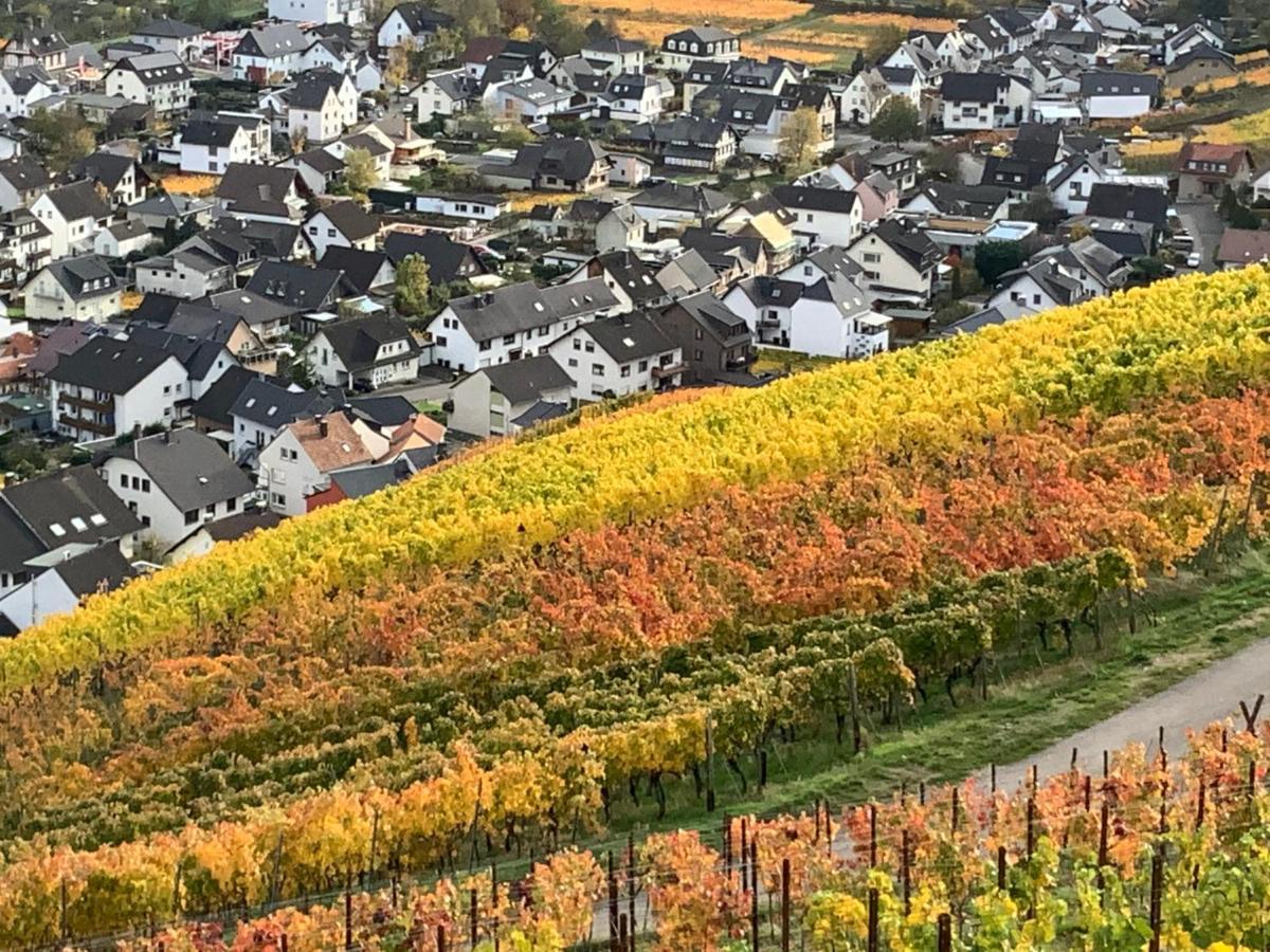 Rheinvilla Arte Remagen Exterior foto